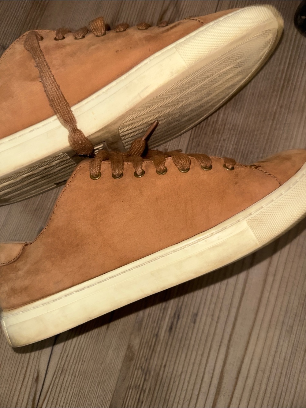 Polo by Ralph Lauren Tan Low-Top Suede Sneakers